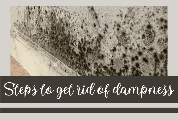get rid of dampness