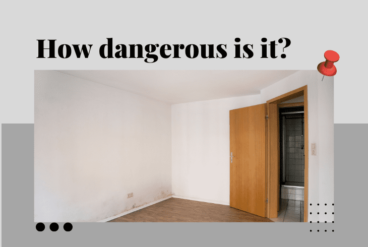 how dangerous