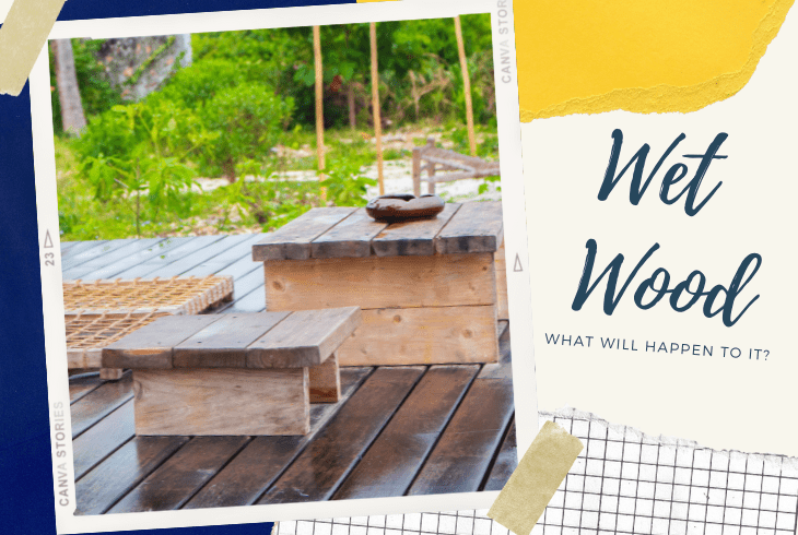 what happens to wood when it gets wet