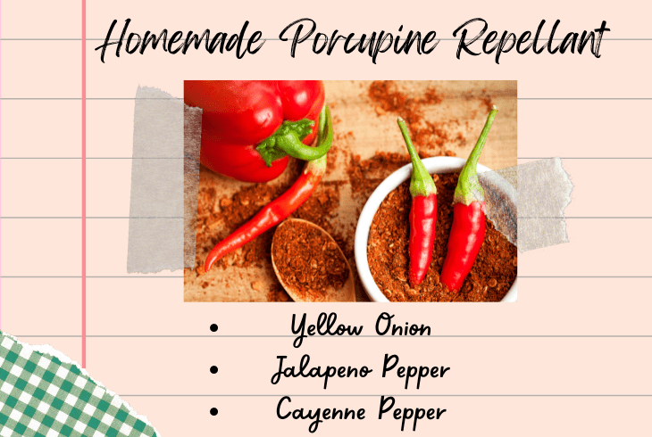 homemade porcupine repellant