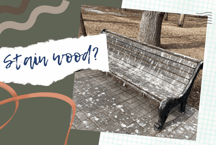can stain wood