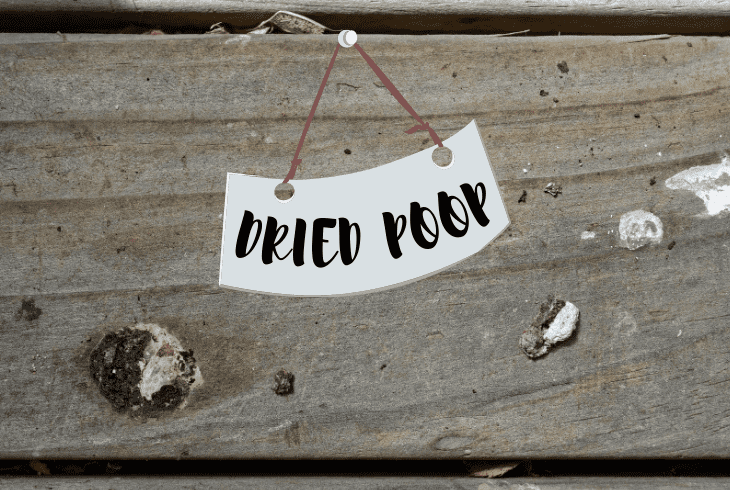 dried poop