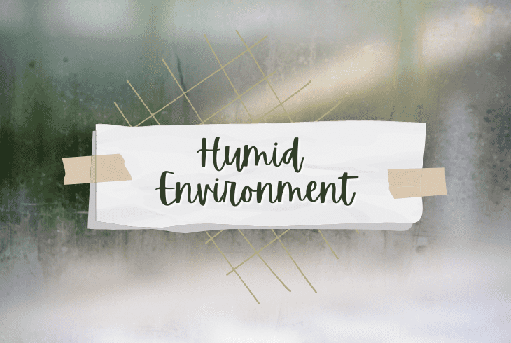 humid environment