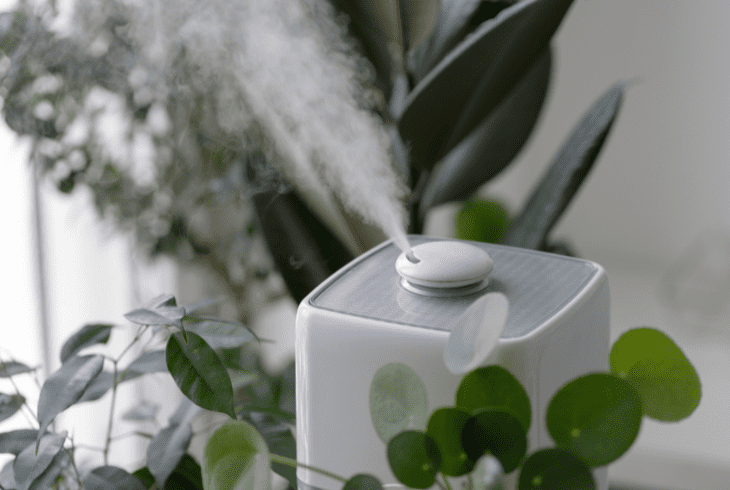 hybrid purifiers