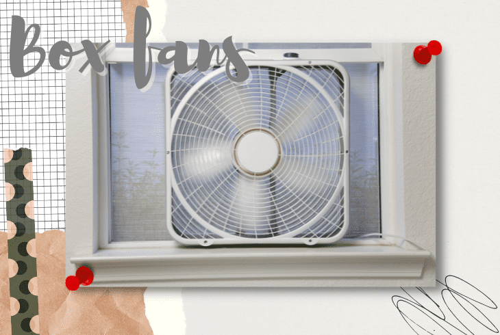 box fans