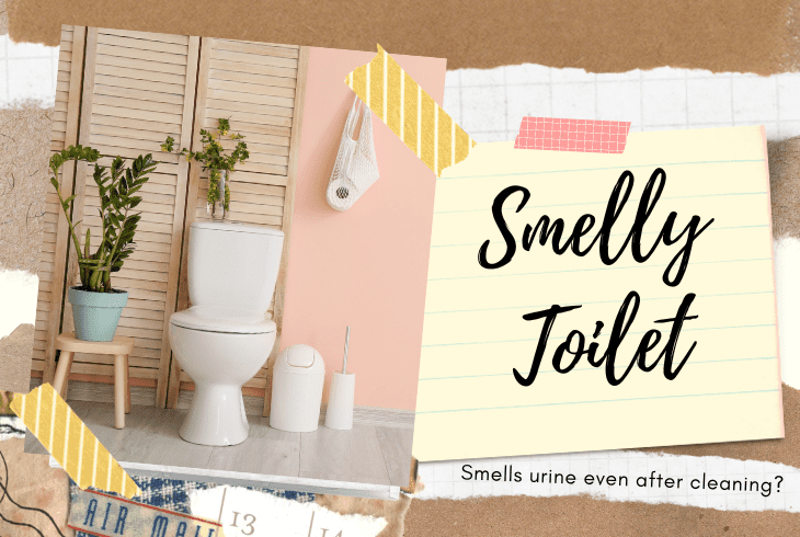 toilet smells of urine despite cleaning