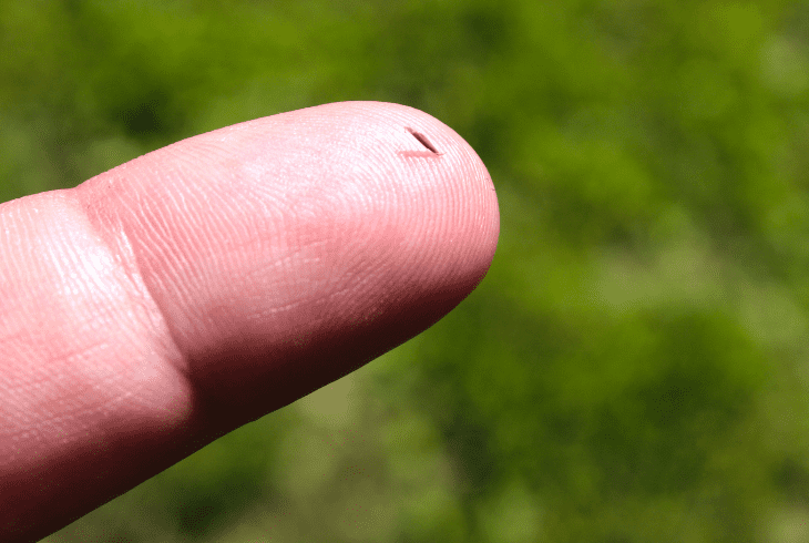 what is a splinter