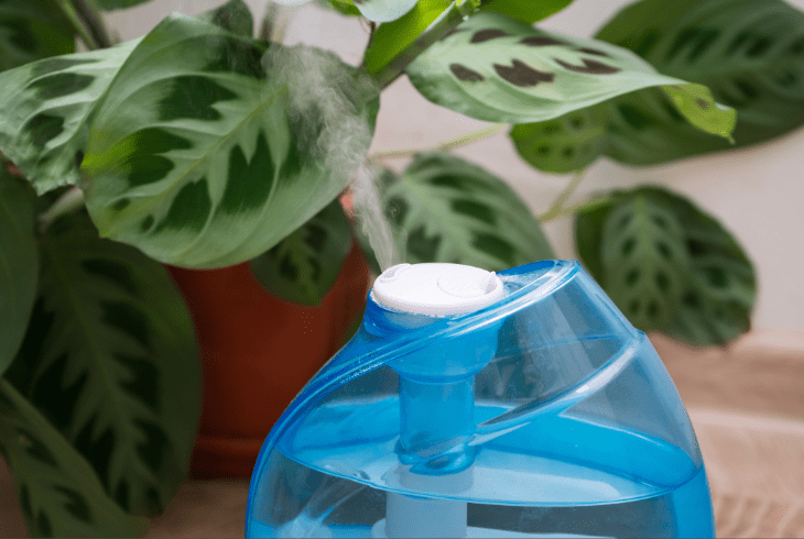 clean water