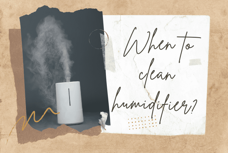 when to clean humidifier