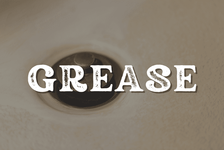 grease plunger mechanism