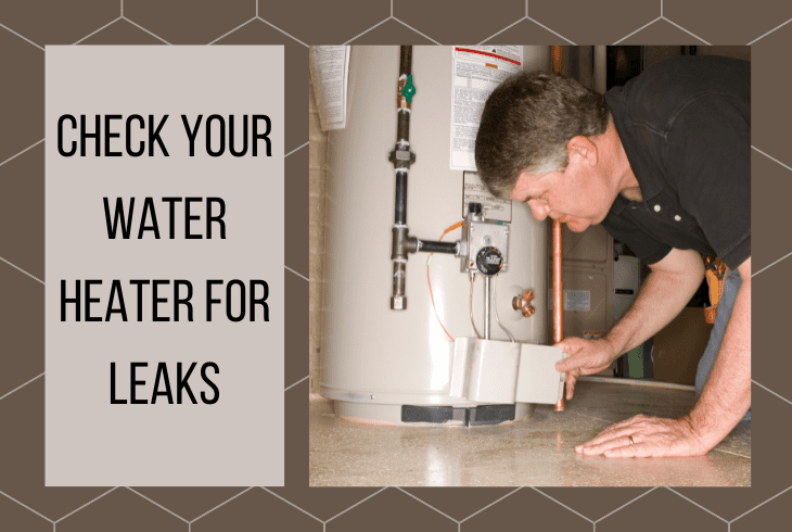 check leaks