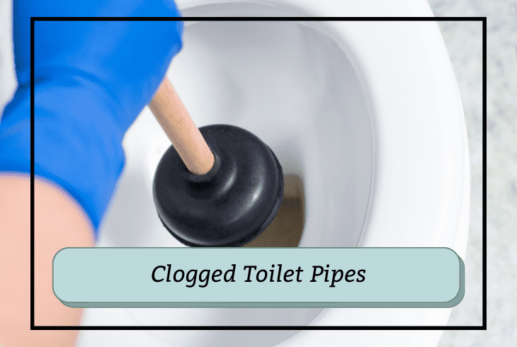 clogged toilet