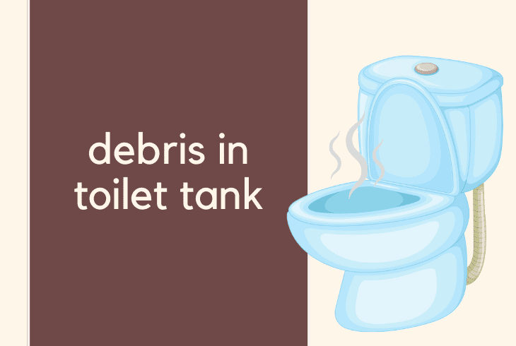 debris in toilet tank