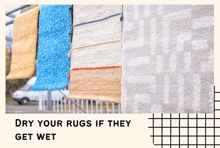 keep rugs dry