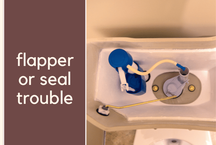 flapper or seal trouble
