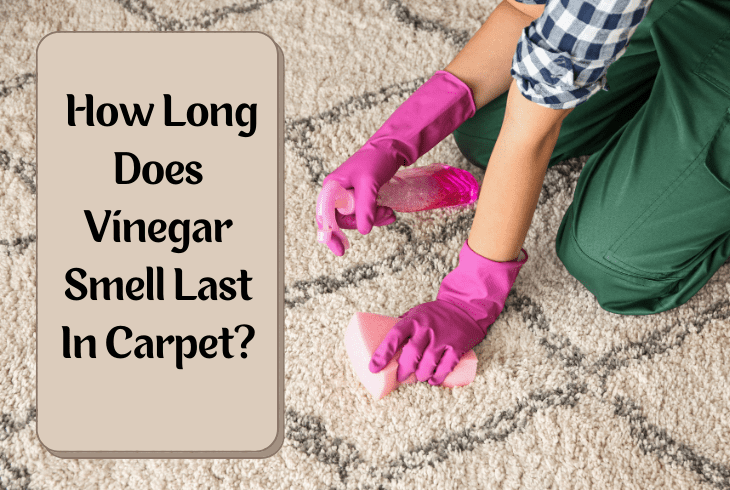 how long does vinegar smell last in carpet