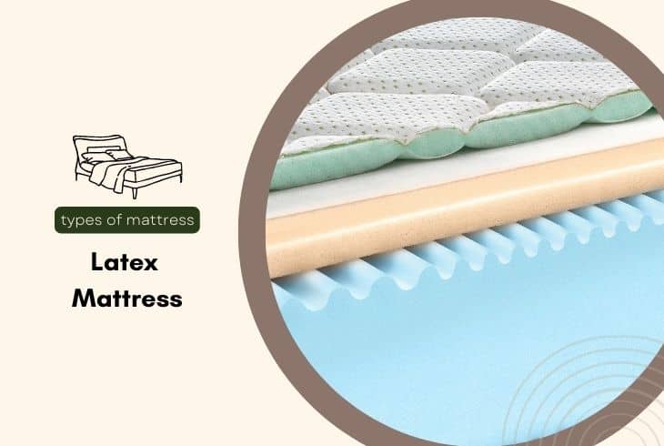 latex mattress cross section