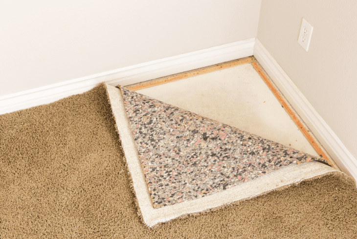 carpet molds