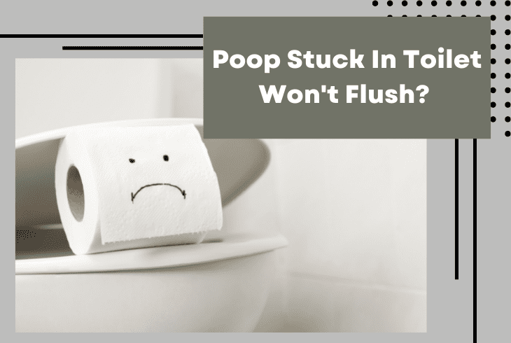 Poop Stuck In Toilet Won't Flush