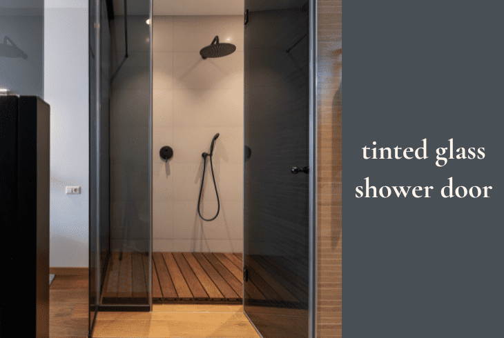 tinted glass shower door