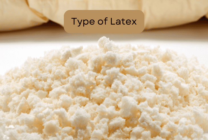 latex type