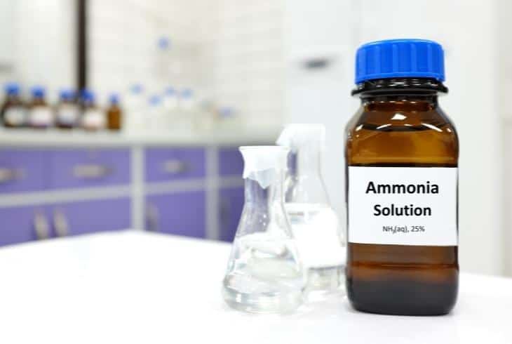 ammonia solution