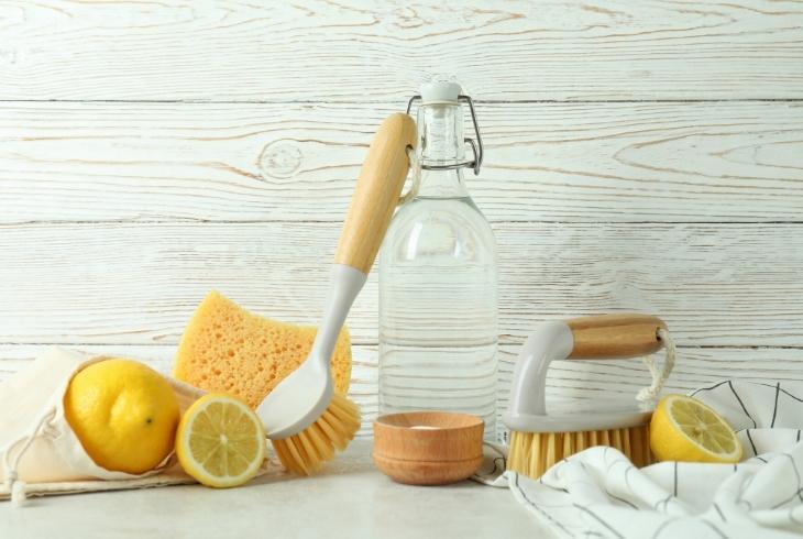 vinegar and lemon