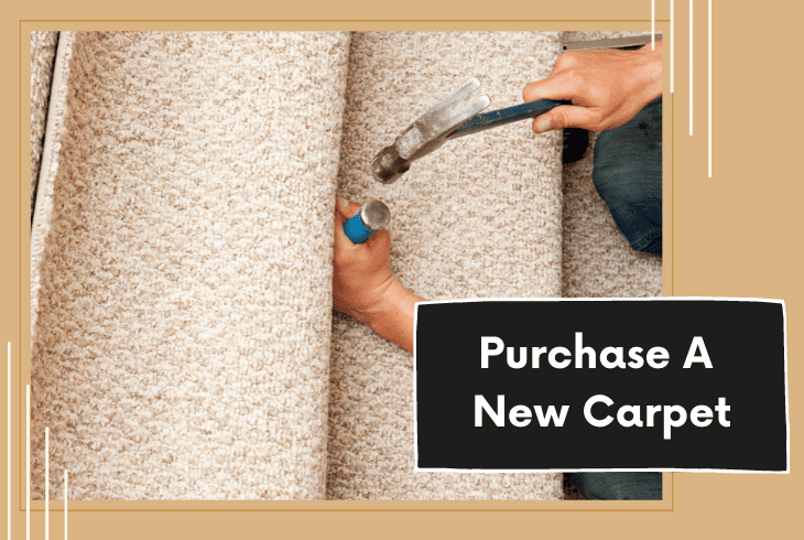 buy new carpet