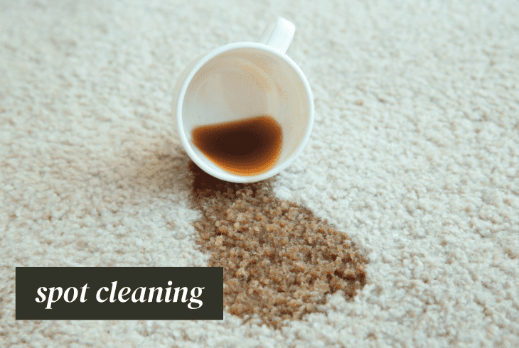 use spot cleaning