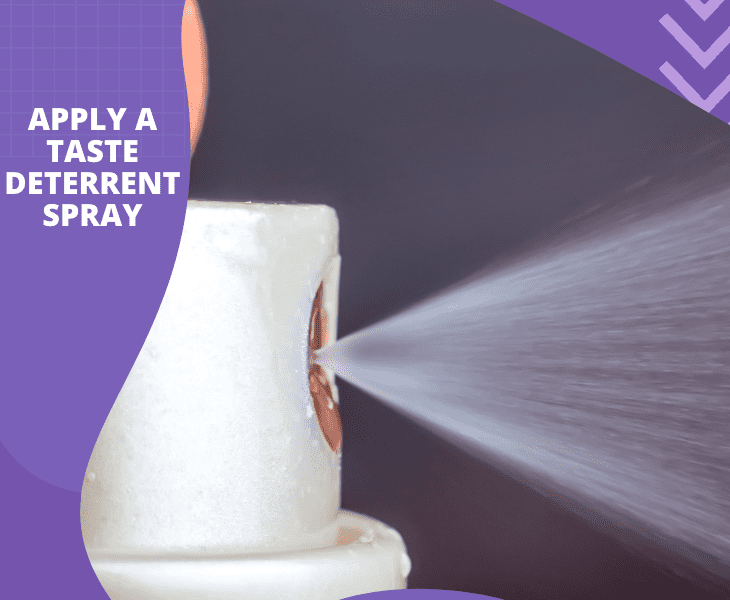 apply deterrent spray