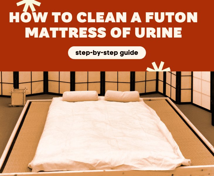 how to clean a futon mattress of urine