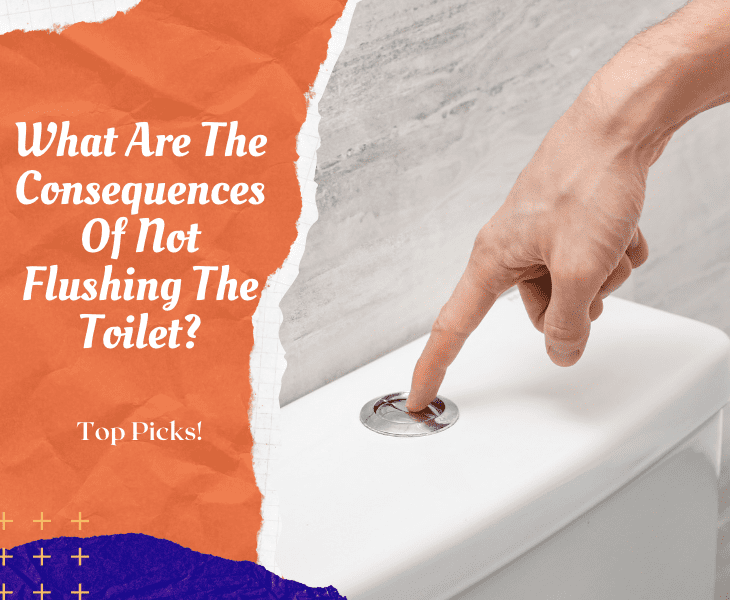 consequences of not flushing the toilet