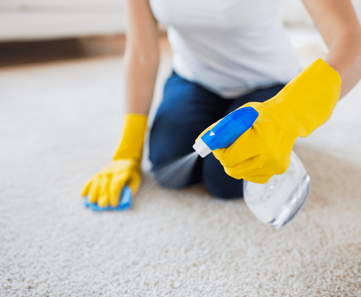 use fabuloso in carpet
