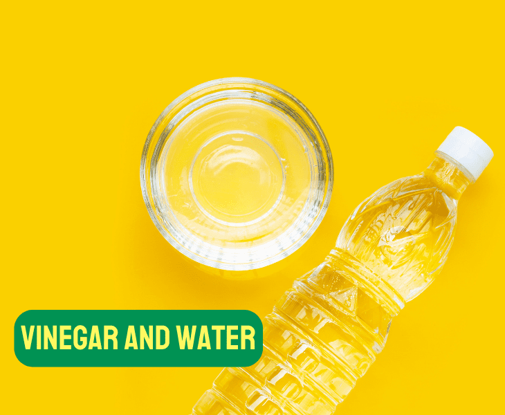 vinegar and water solution
