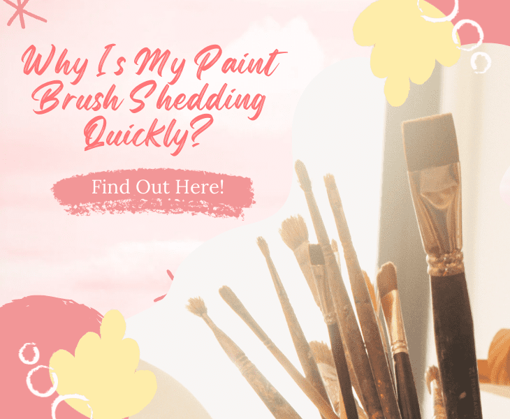 why is my paint brush shedding