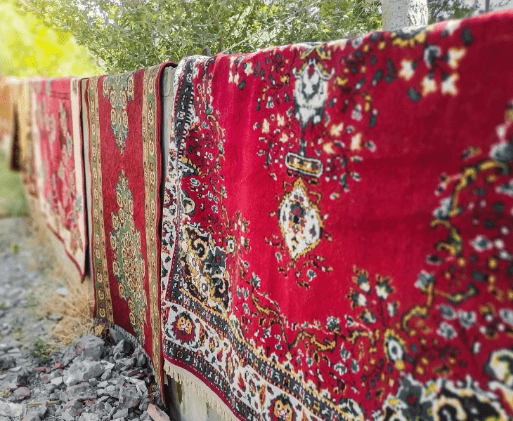 dry the rug