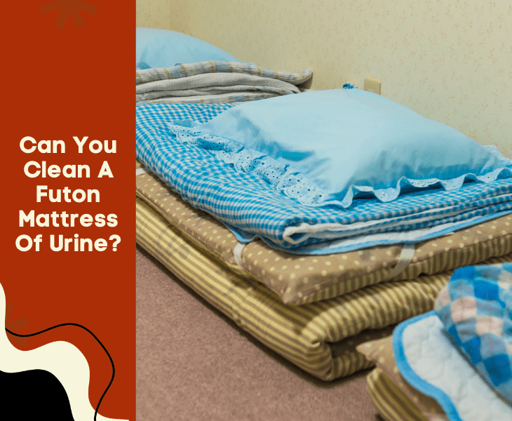 clean futon of urine