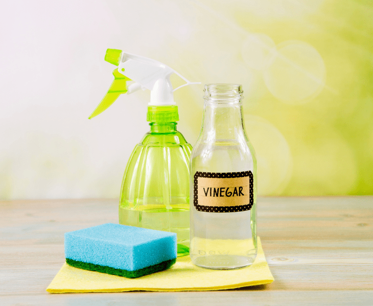 vinegar in spray bottle