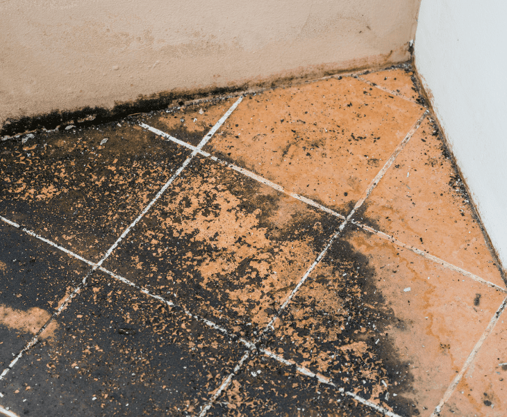 dirty bathroom floor