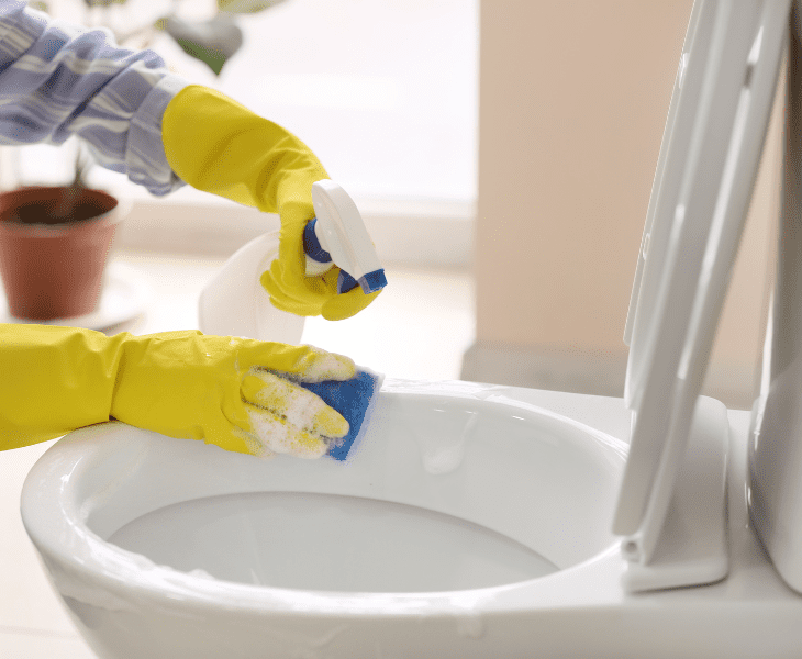 disinfect the surfaces