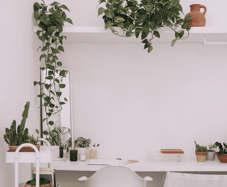 add plants