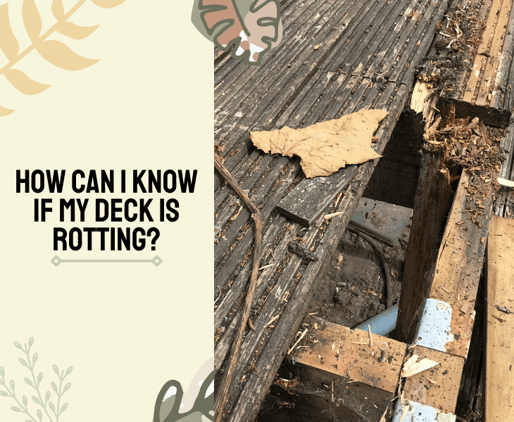 rotting deck