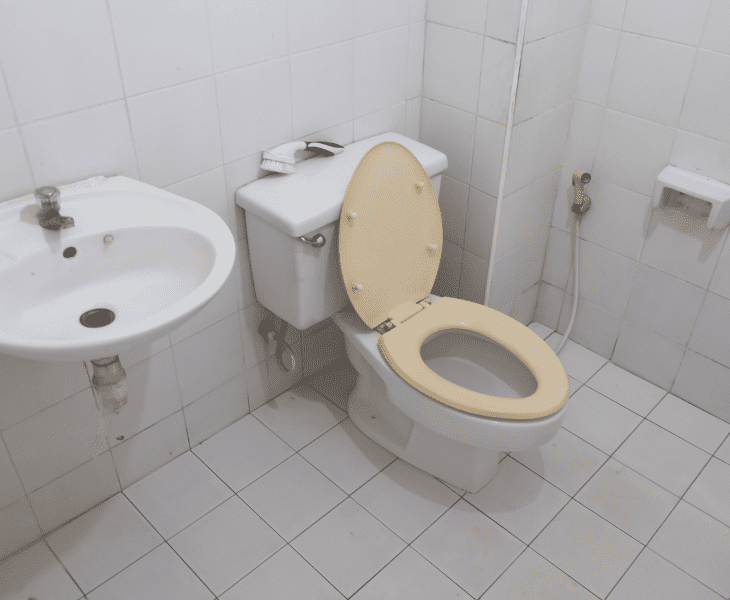 stained toilet in bathroom