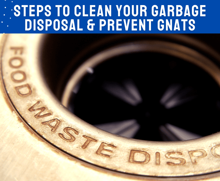 cleaning garbage disposal
