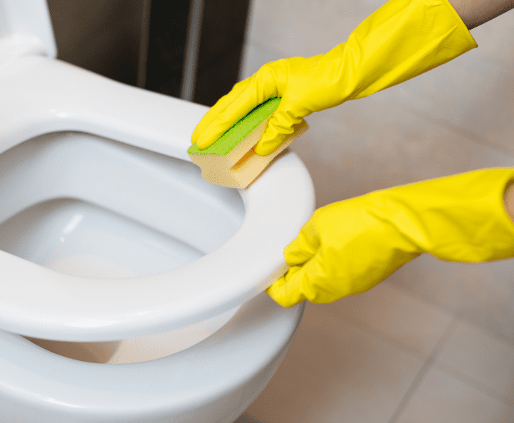 toilet seat cover