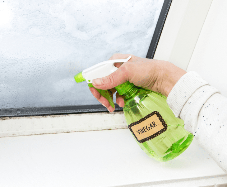vinegar and water solution