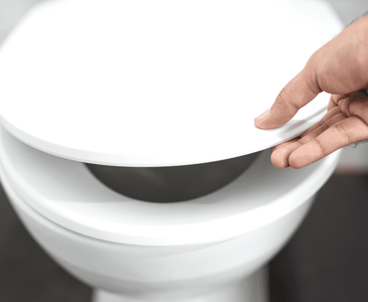 wipe toilet seat clean