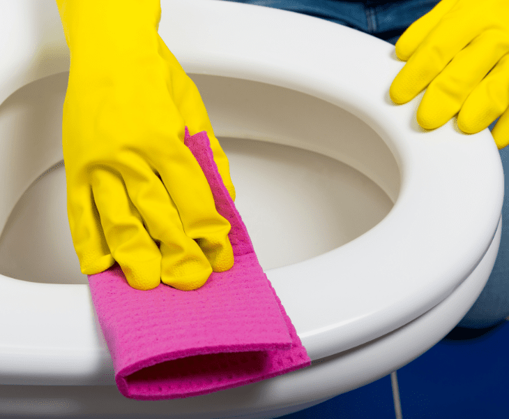wipe the toilet