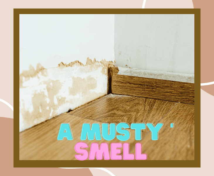 the musty smell