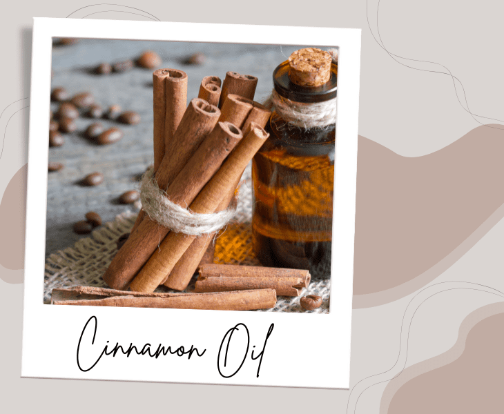 utilize cinnamon oil